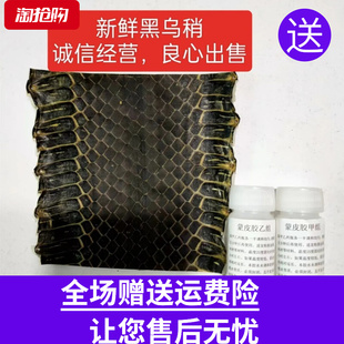 乐器配件乌稍皮中段单块蛇皮京胡四胡蒙皮材料京二胡越胡胡琴手工