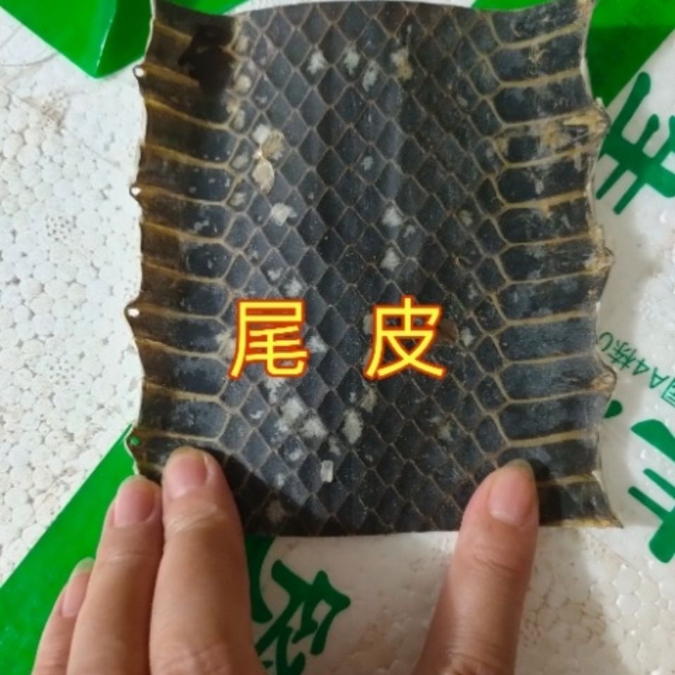 单块乌稍皮蒙京胡二胡 曲胡 四胡 西皮蒙皮材料乐器配件