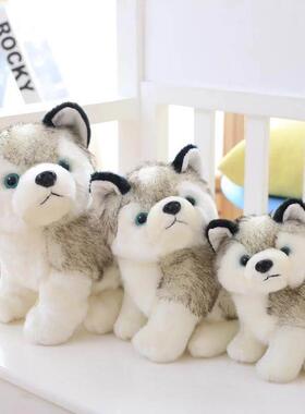 kids Soft Toy Cute Husky Puppy Dog Stuffed Animal plush doll