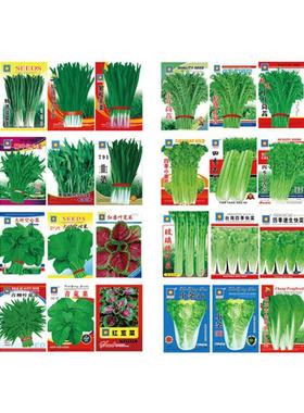 Tomato Seed garden plants Bonsai organic fruit and vegetabl