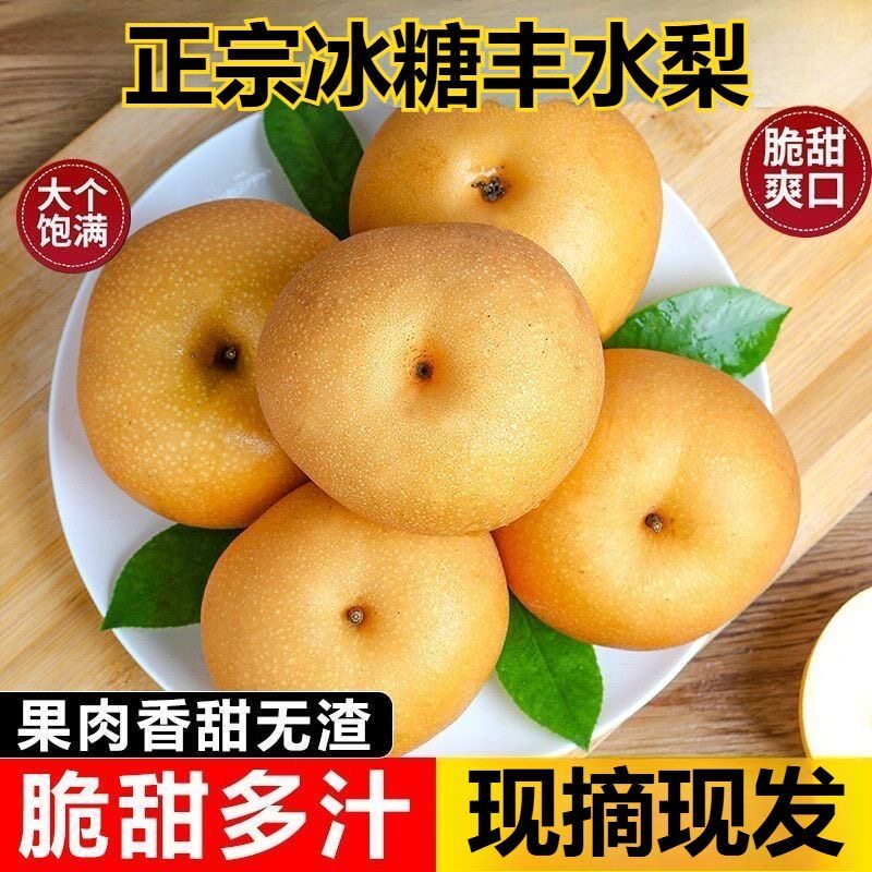 山东聊城冰糖丰水梨礼盒鲜甜可口