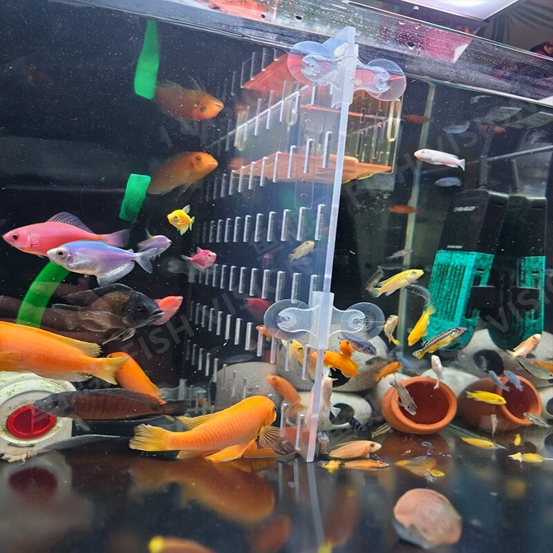亚克力隔离板鱼缸透明隔板高透无其它水族用具设备