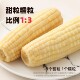 焕然远系三号玉米非转基因甜糯杂交新鲜自然熟非转基因香甜糯真空
