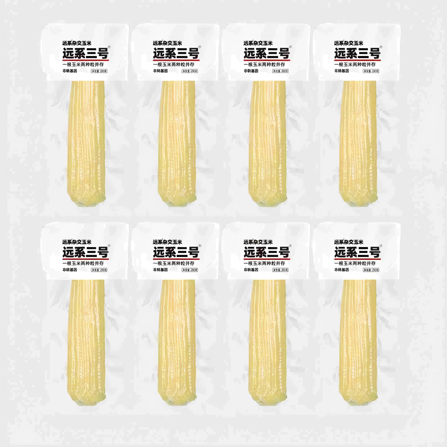 焕然远系3号甜糯杂交玉米