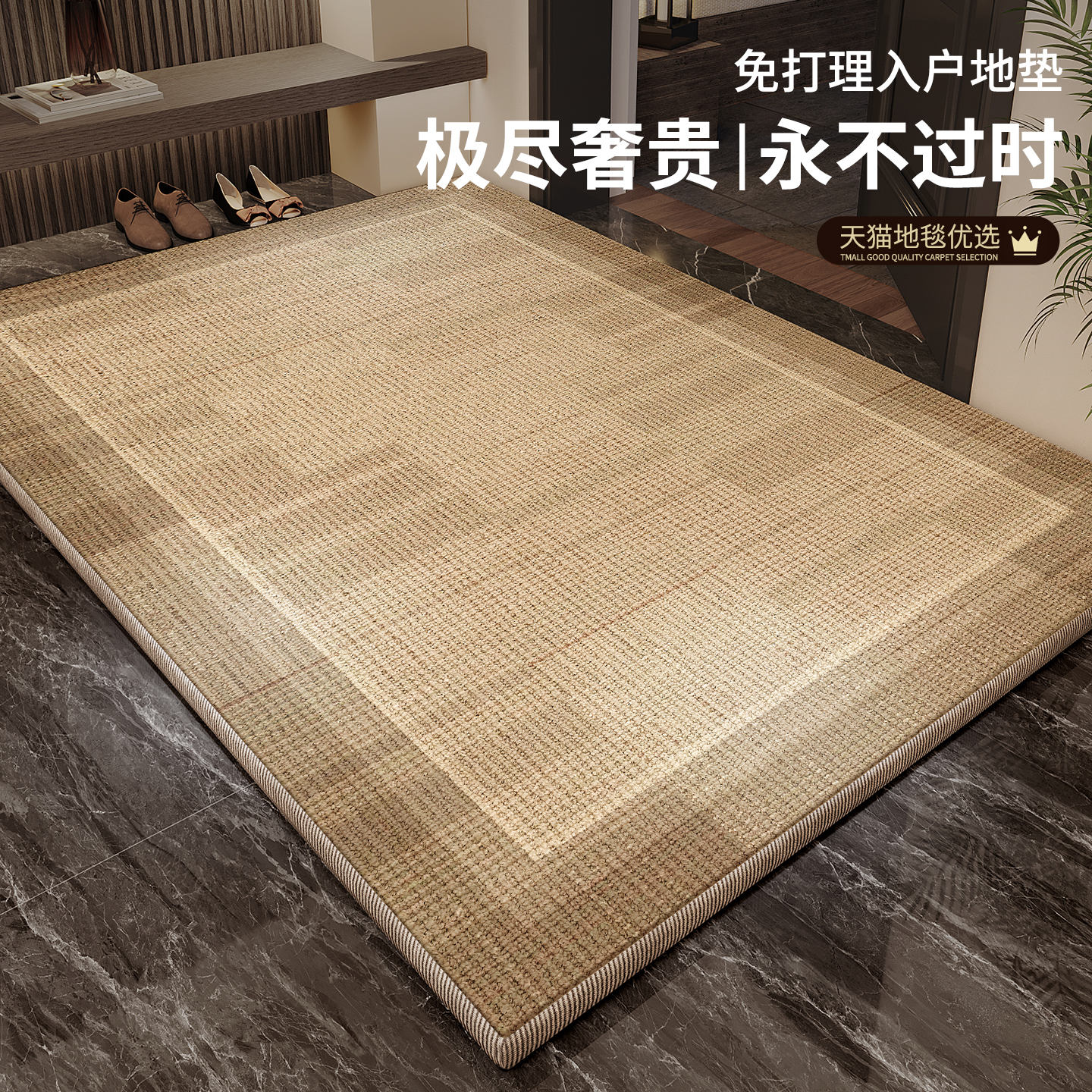 2025新款高端门垫脚踏垫入户门地垫门口进门专用室外地垫地毯家用