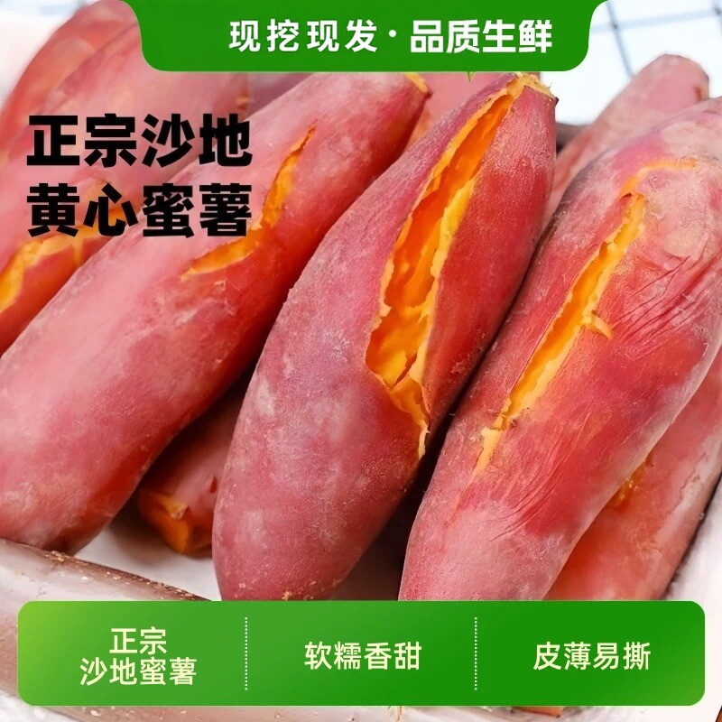 新鲜现挖沙地黄心蜜薯红薯软糯香甜早餐农家自种番薯糖心地瓜山芋