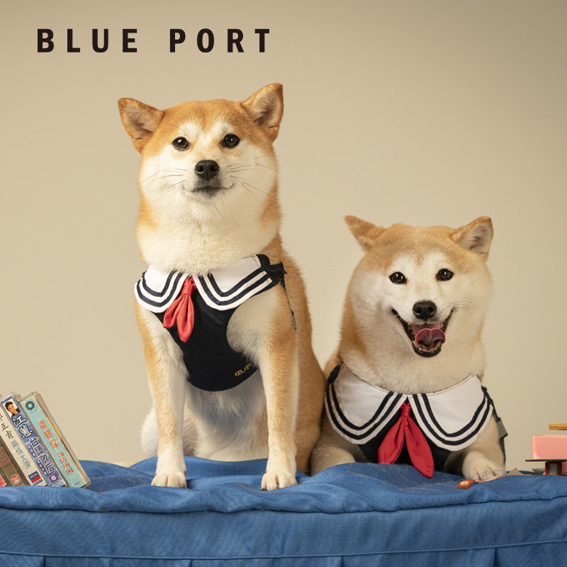 BluePort宠物胸背衣牵引套装外出遛狗绳带胸背狗狗猫咪牵引