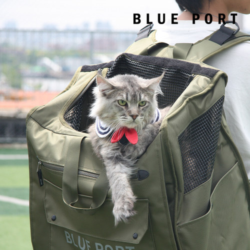 Blueport经典双肩猫背包
