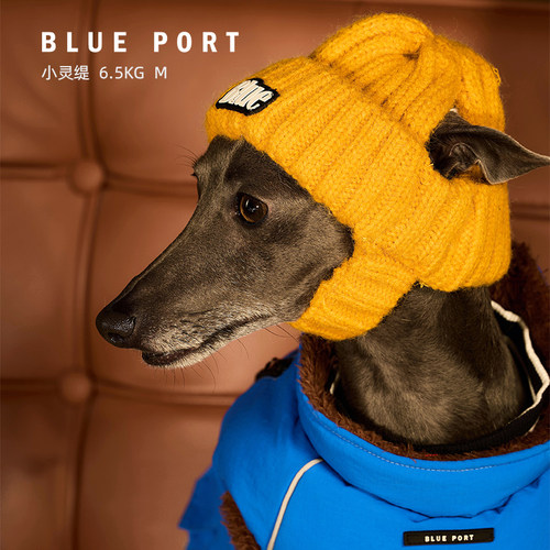 blueport宠物时尚毛线帽多色冷帽
