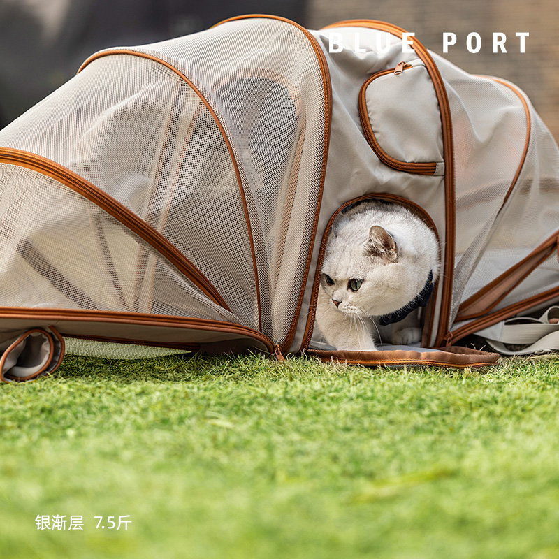 BluePort寵物雙面拓展輕便雙肩包