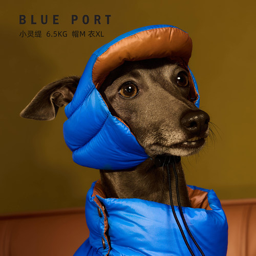 Blueport狗狗超轻保暖羽绒帽