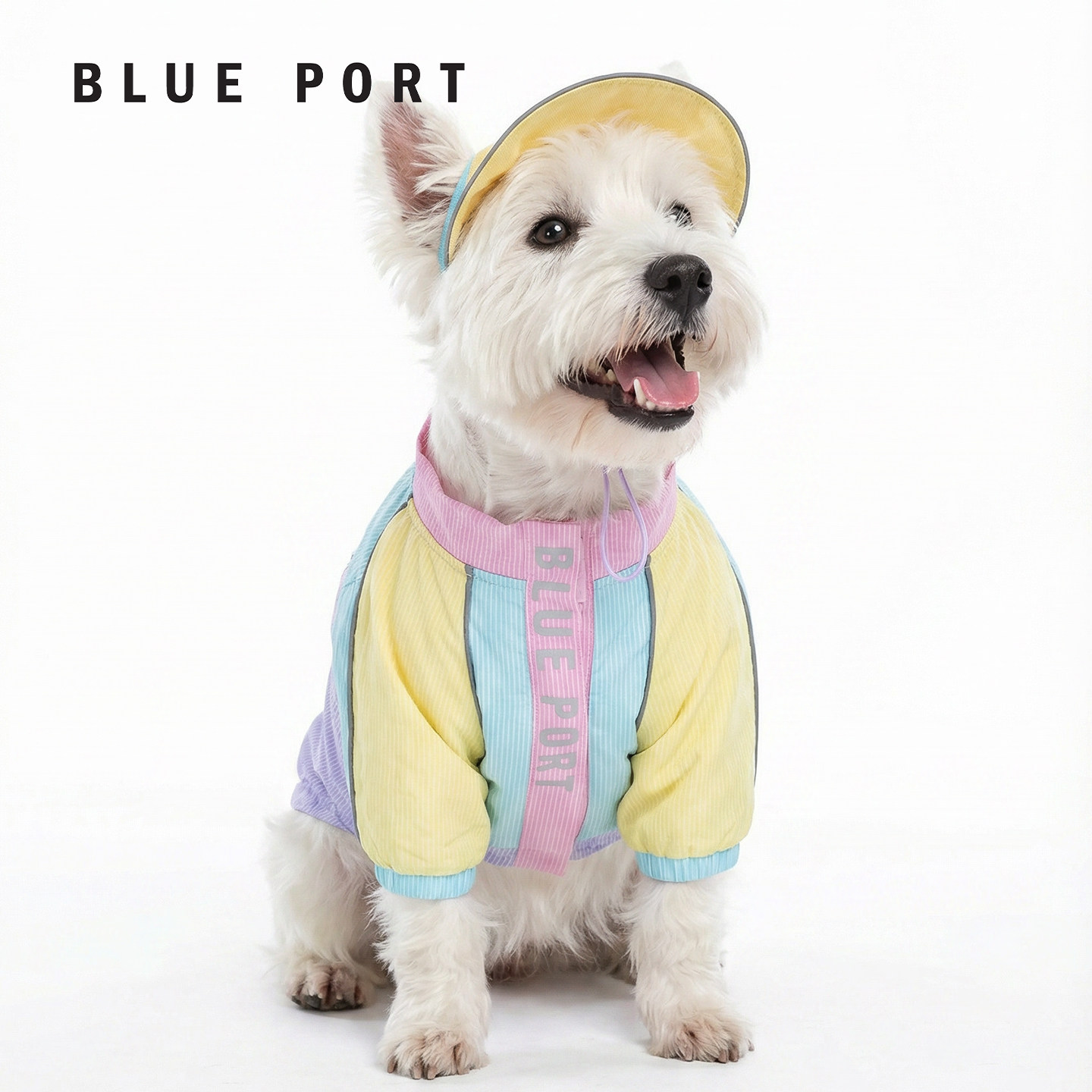 Blueport中小型犬原纱拼色防晒遮阳外套轻薄透气猫狗狗衣服春夏装