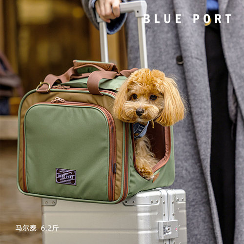 BluePort单面拓展宠物登机包