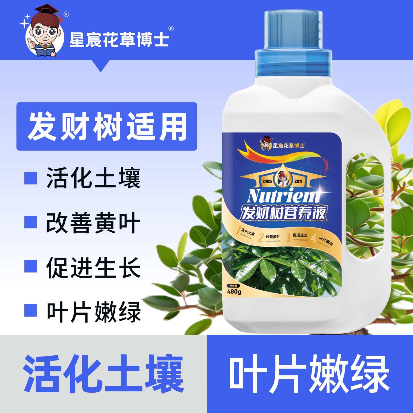 发财树专用营养液黄叶枯叶烂根