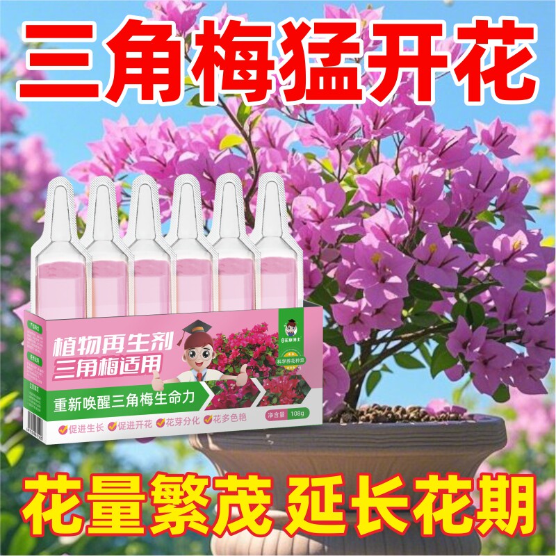 三角梅营养液再生剂盆栽家庭盆栽花卉枝繁叶茂催花促花开花液通用 - 实物图