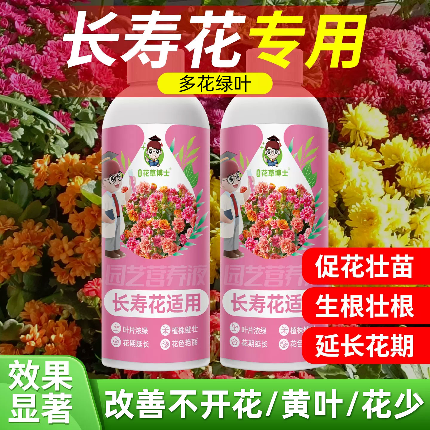 星宸花草博士长寿花专用肥料促开花营养液花卉盆栽生根催花复合肥