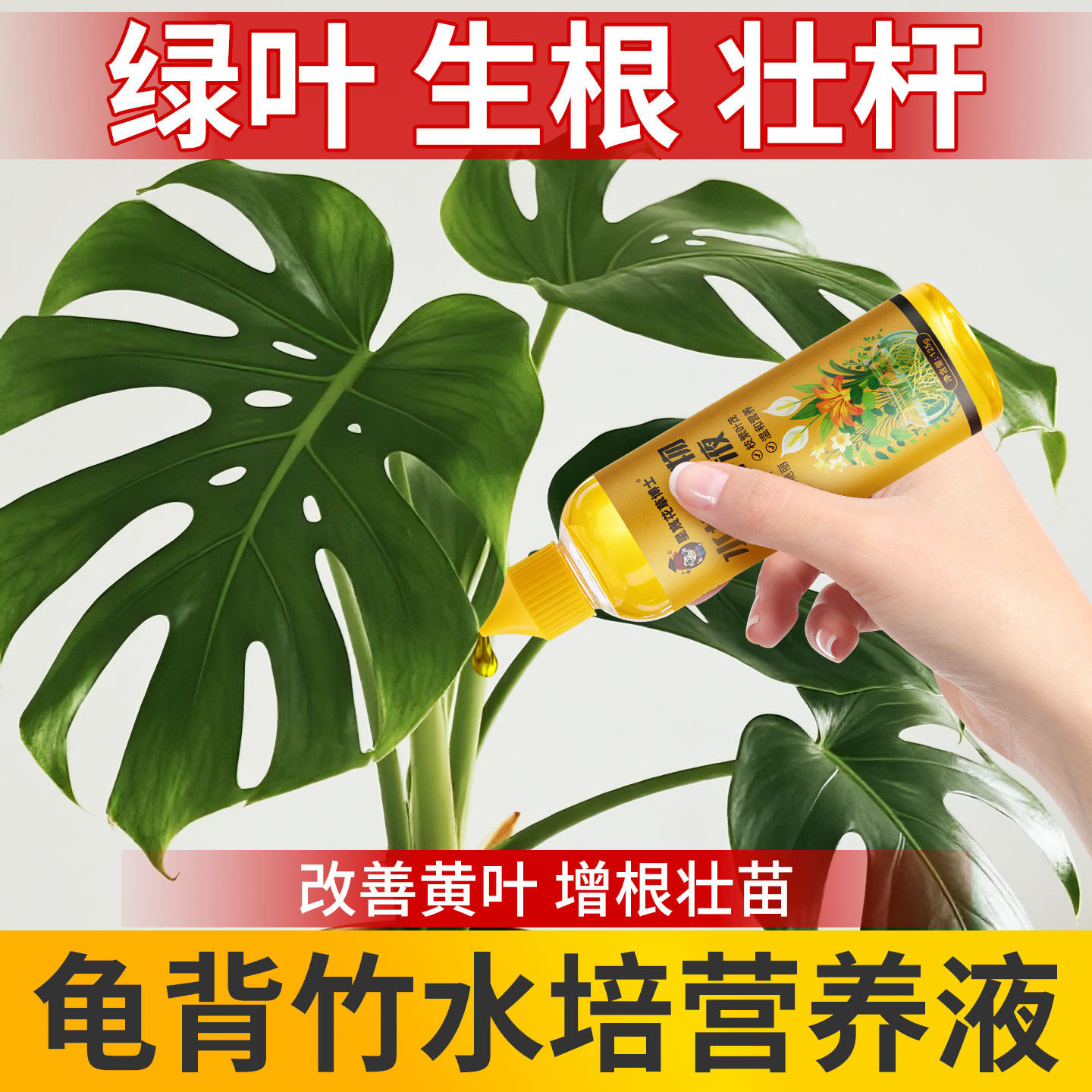 水培植物营养液龟背竹专用肥