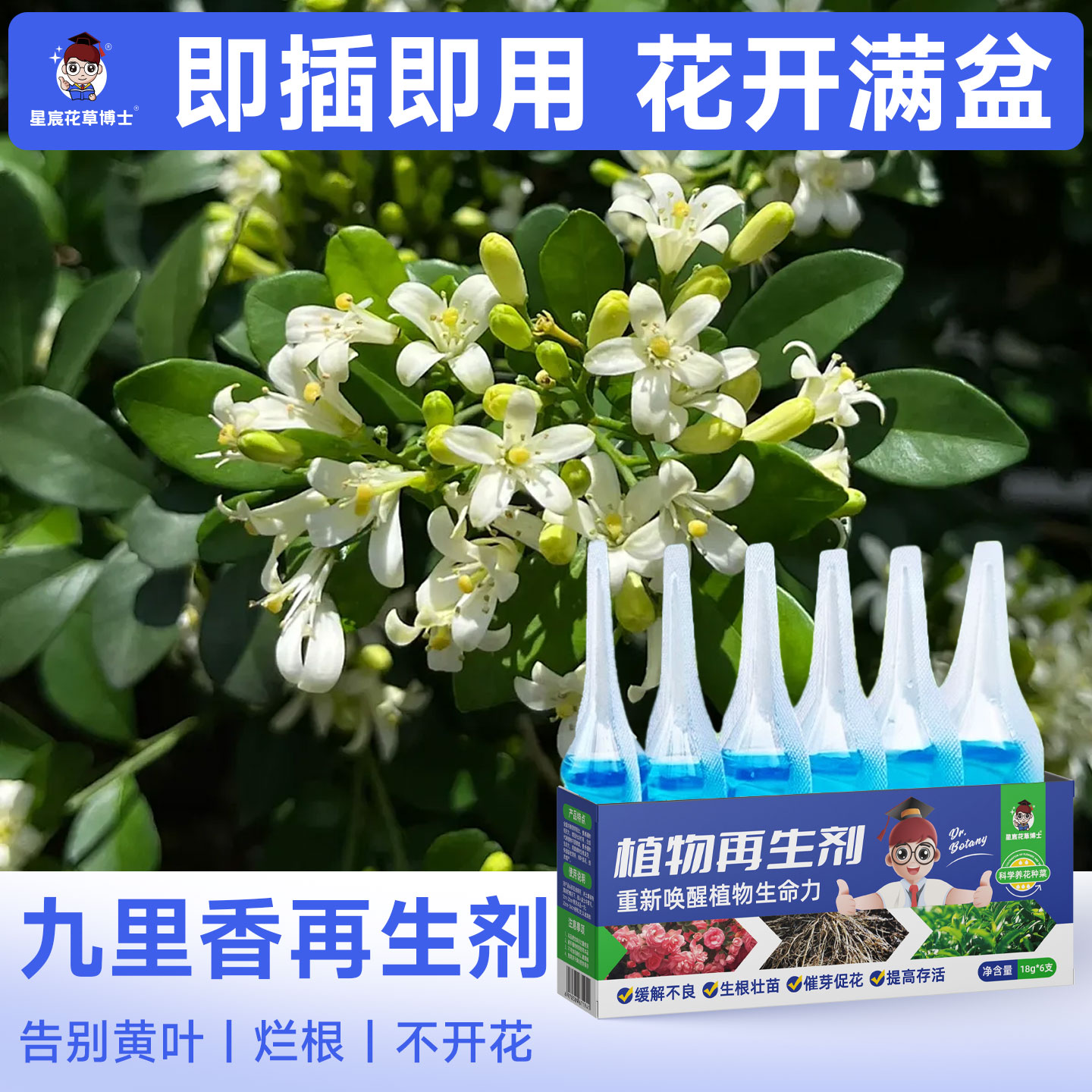 九里香专用肥料植物再生剂家用