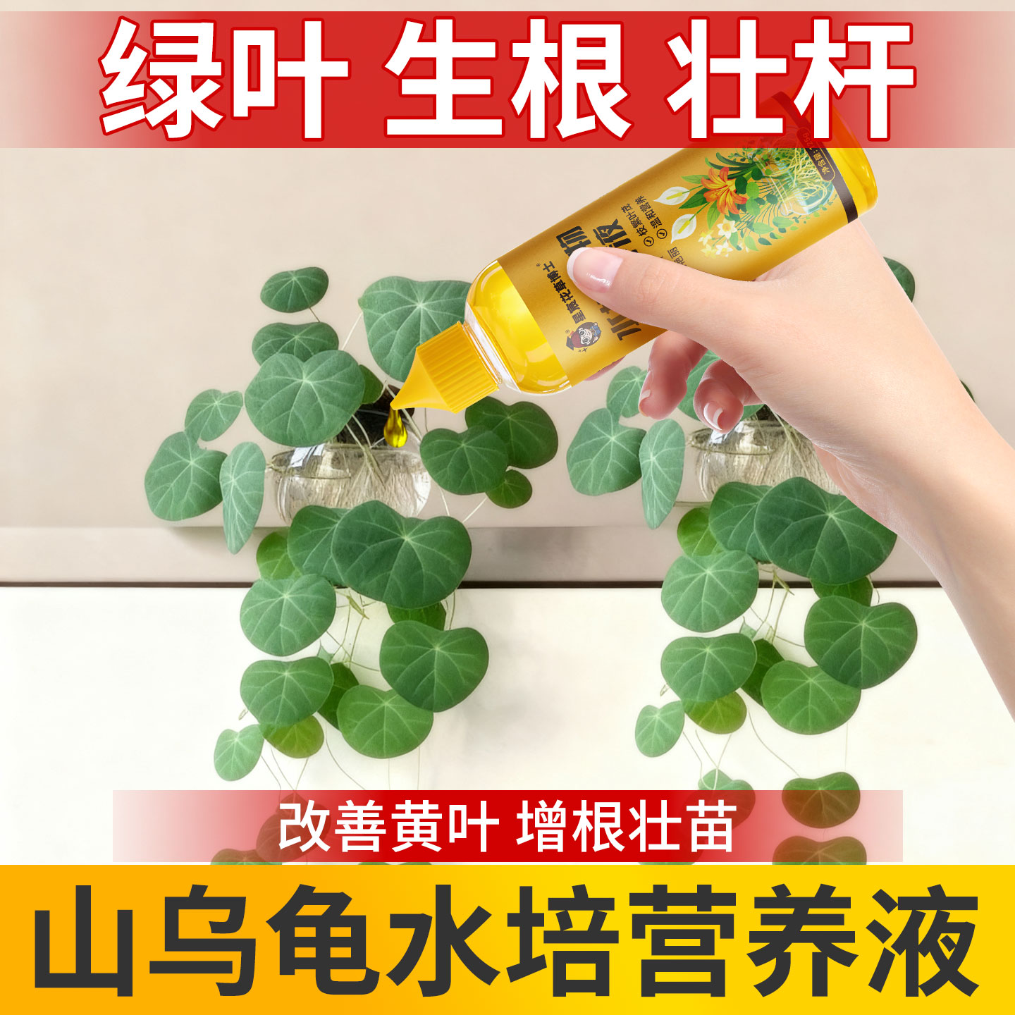 山乌龟水培专用营养液官方正品家用四季观叶红藤爬藤植物通用肥料