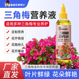 正品 三角梅营养液家用室内外养花卉专用肥促开花爆花通用复合肥料
