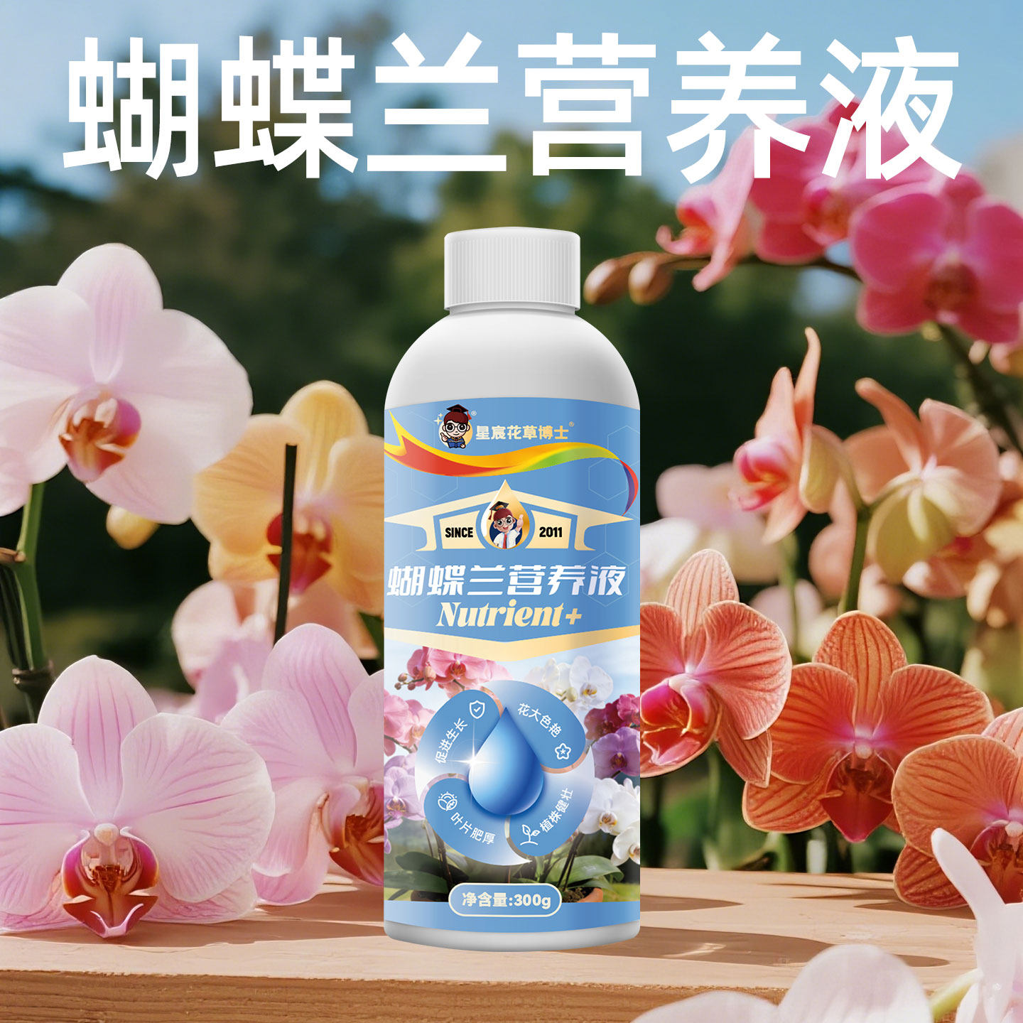星宸花草博士蝴蝶兰营养液兰花墨兰水培专用开花肥促花肥料兰灵旺