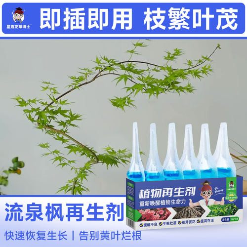 流泉枫植物再生剂通用专用营养液