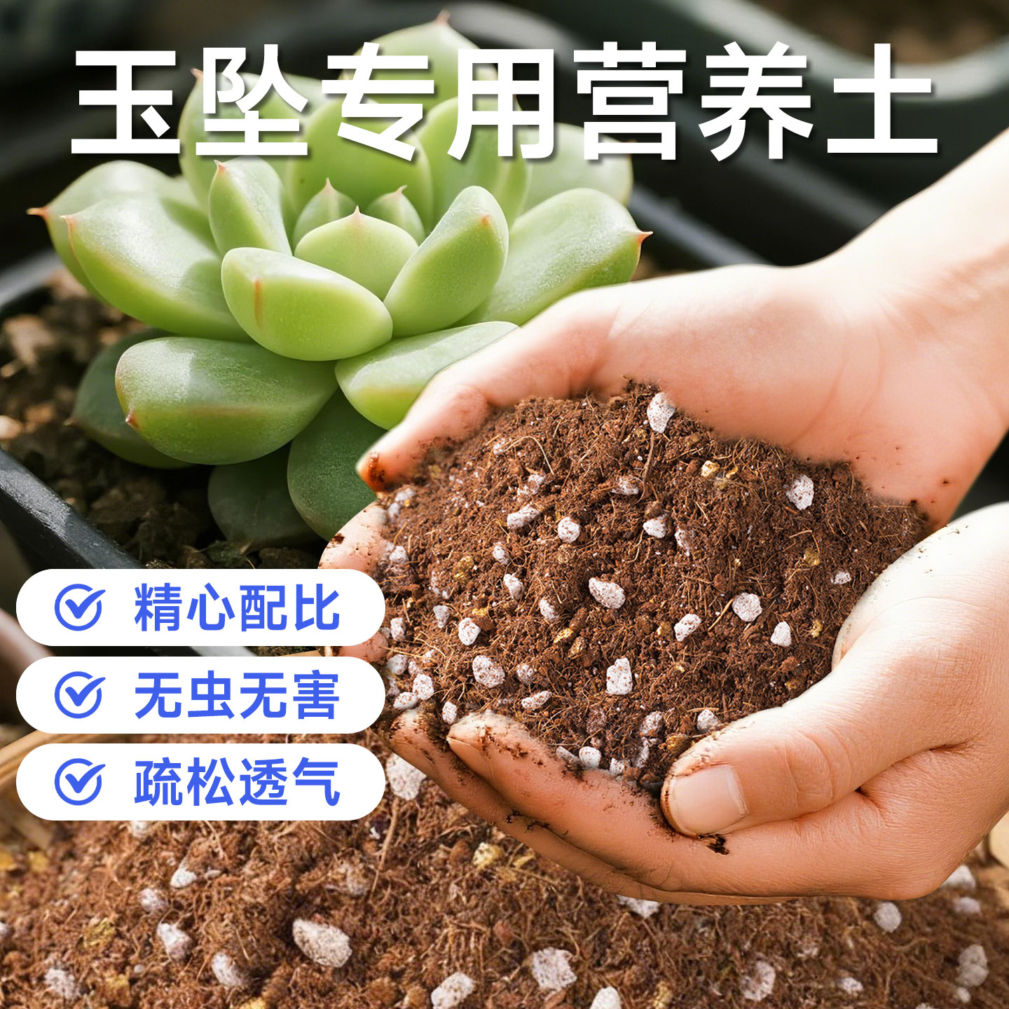 玉坠专用土阳台室内种植盆栽土