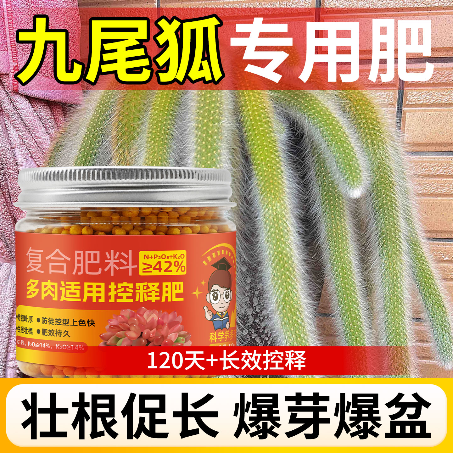 九尾狐多肉专用肥控释肥料生根