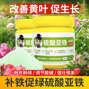 硫酸亚铁花肥料栀子花茉莉喜酸植物营养液杜鹃茶花养花专通用化肥