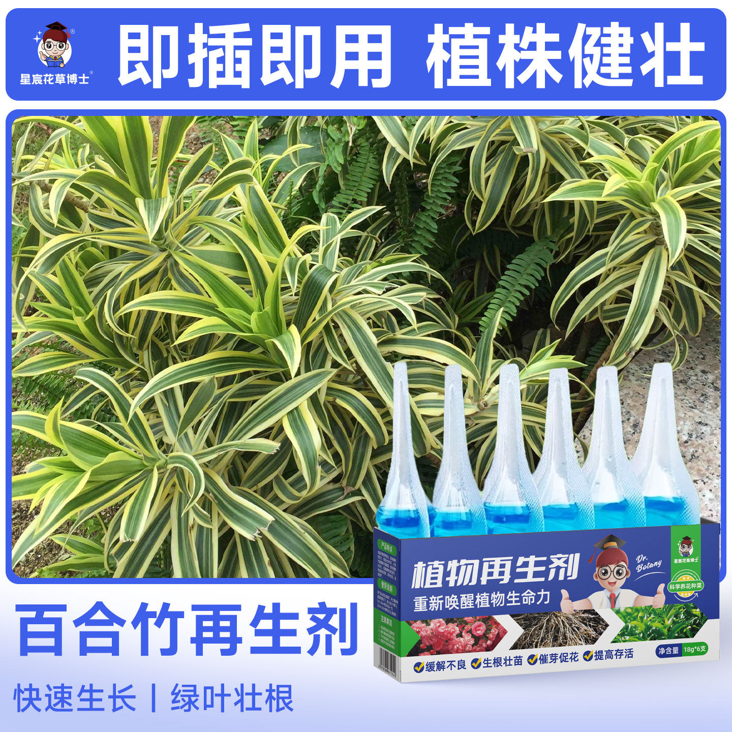 百合竹专用植物再生剂浓缩营养液家用绿植复活液氮磷钾复合水溶肥,鲜花速递/花卉仿真/绿植园艺,家庭园艺肥料,淘宝优惠券,粉丝福利购,淘宝优惠卷