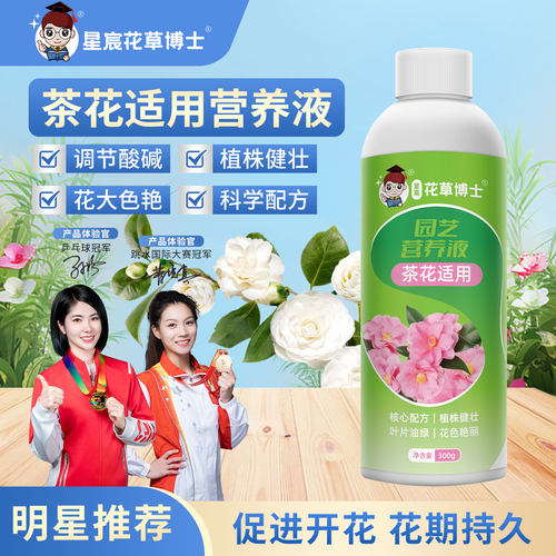 茶花专用肥促开花营养液山茶花
