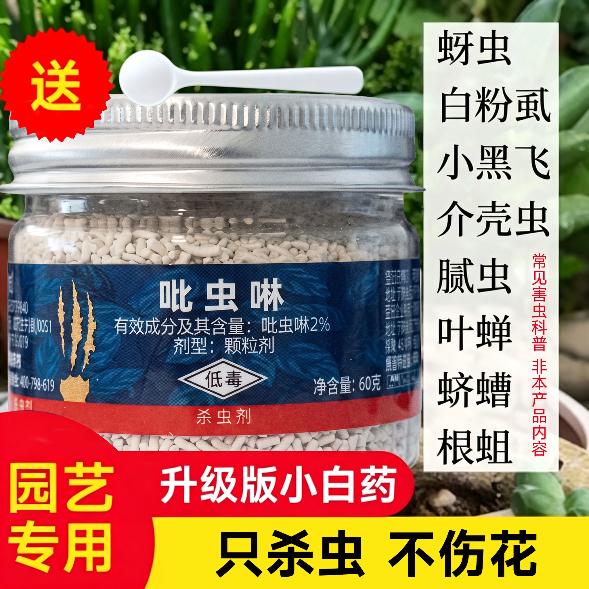 花草博士吡虫啉小白药杀虫药防虫专用蚧壳虫多肉植物土壤杀虫剂