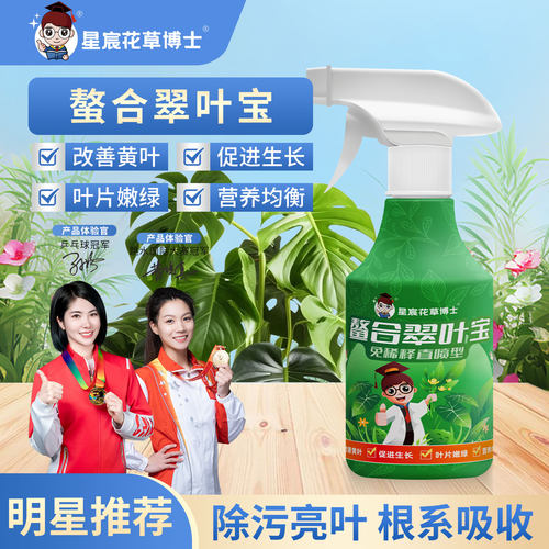 螯合铁植物营养液治黄叶枯叶