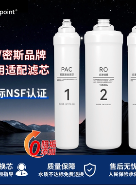 适用史密斯佳尼特大白净水器大眼萌滤芯CXR400550/600/8001000-A1