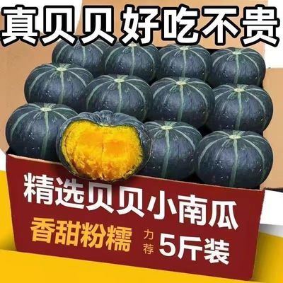 太糯太甜】正宗贝贝板栗南瓜宝宝辅食新鲜蔬菜贝贝小南瓜整箱