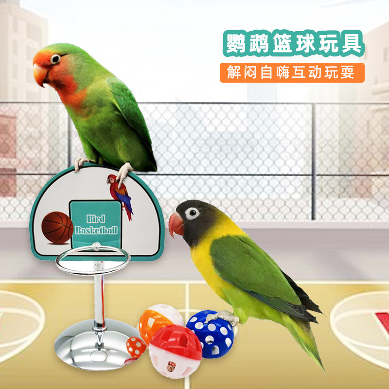 篮球架鹦鹉玩具金属解闷训练逗鸟