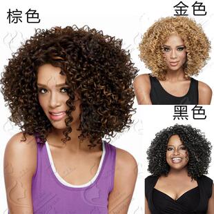 非洲假发女性 afro wig 小卷假发套 许昌速卖通外贸假发0444