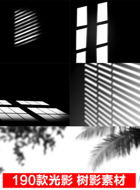 树叶窗户光影束光照植物花草 免扣图层树影子素材打包影楼PSD/PNG