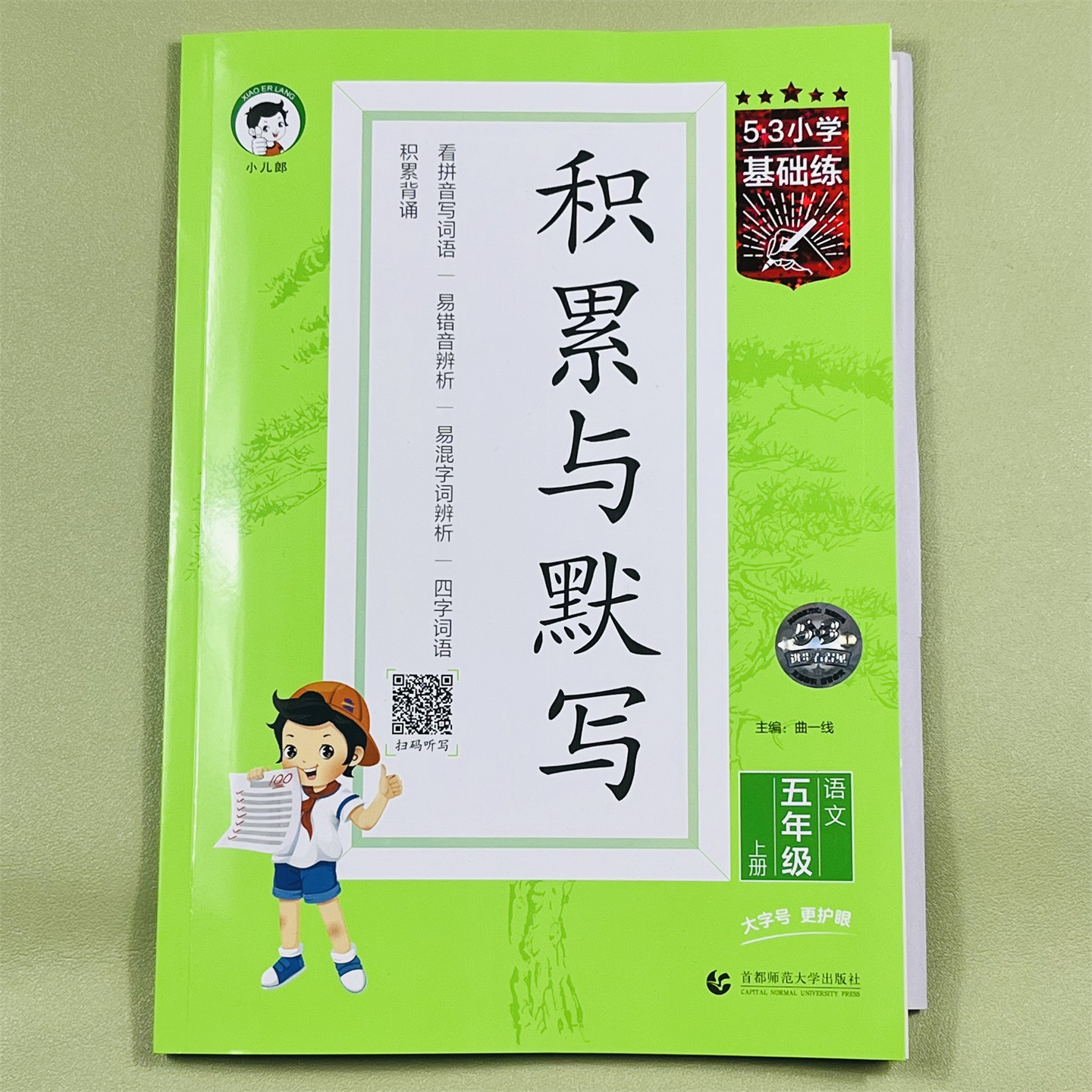 课文同步积累与默写五年级上册积累拼音汉字强化训练小学语文基础知识点汇总复习大全小学生五年级上册通用综合同步练习册题天天练