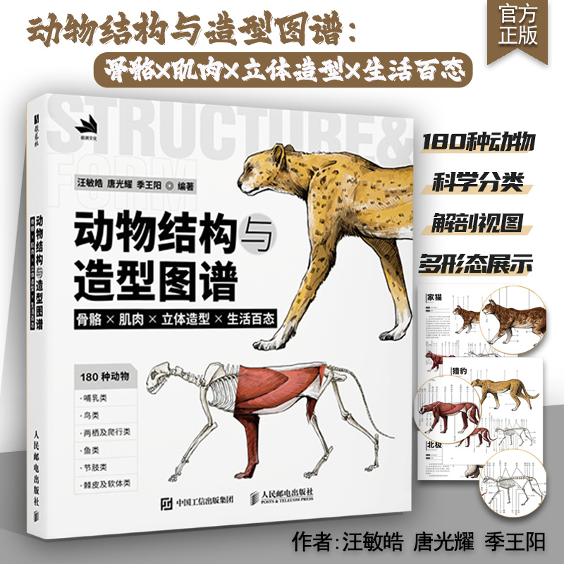 动物结构与造型图谱骨骼肌肉造型