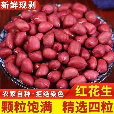 东北四粒红红衣花生米5斤