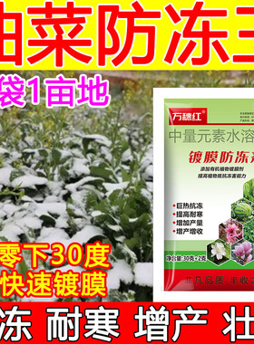 油菜防冻液油菜防冻剂增产防冻植物防冻剂耐寒安全过冬肥料正品