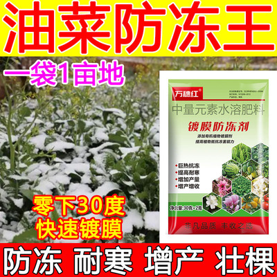 油菜防冻液油菜防冻剂增产防冻植物防冻剂耐寒安全过冬肥料正品
