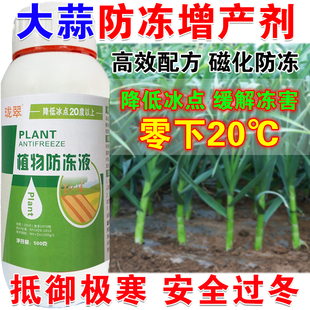 大蒜防冻液大蒜防冻植物防冻剂增产剂抗病增产抗寒抗冻增产肥料