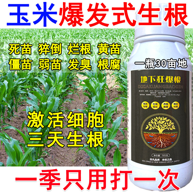 进口玉米生根粉玉米生根剂生根壮苗发根强力生根粉死苗烂根弱苗