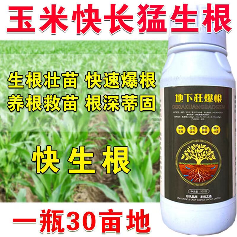 玉米专用生根粉玉米生根剂叶面肥生根菌肥快速生根正品生根肥料图片