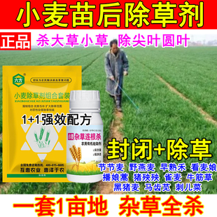 小麦田除草剂麦田苗后除草剂杂草克星禾阔双除节节麦野燕麦正品