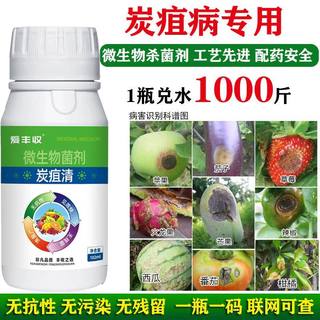 炭疽病特效药微生物菌柑橘火龙果柚子西瓜番茄辣椒草莓咪鲜胺炭疽