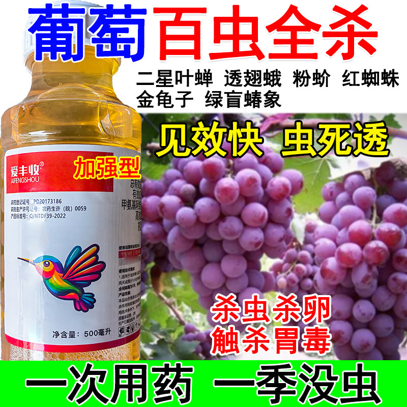 葡萄杀虫剂葡萄专用杀虫药害虫全杀二星叶蝉透翅蛾粉蚧蜘蛛金龟子