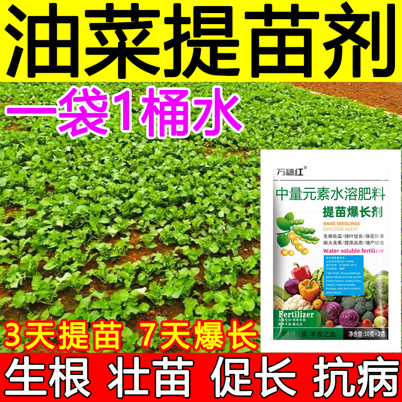 油菜提苗暴长剂生根壮苗防死苗僵苗抗倒伏抗病促长增产油菜专用肥